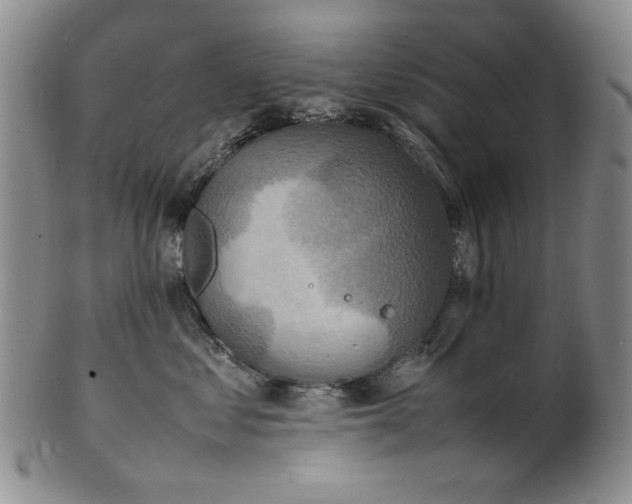 X0000100980621200807081245