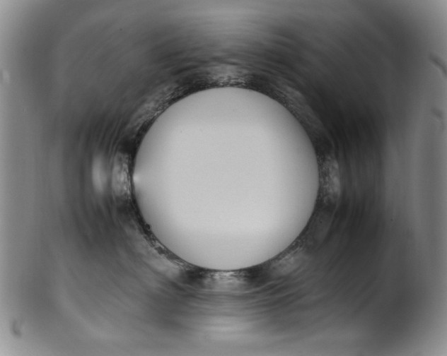 X0000100980622200807081245