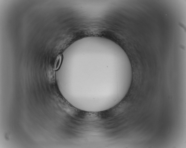 X0000100980624200807081245