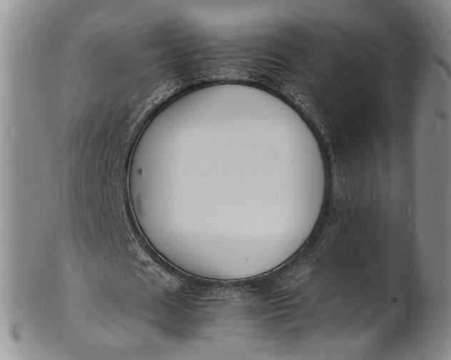 X0000100980625200807081244