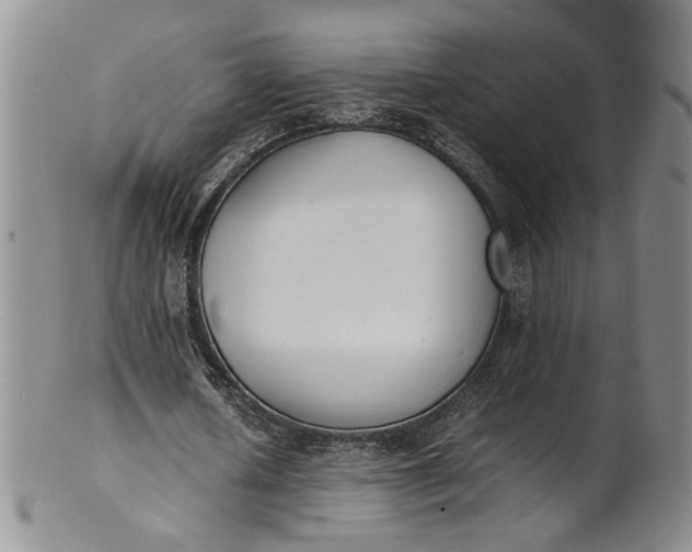 X0000100980626200807081244