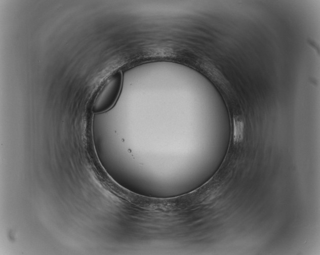 X0000100980627200807081244