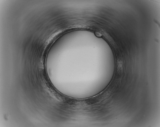 X0000100980628200807081244