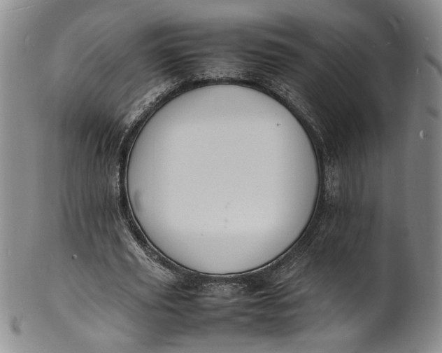 X0000100980629200807081244