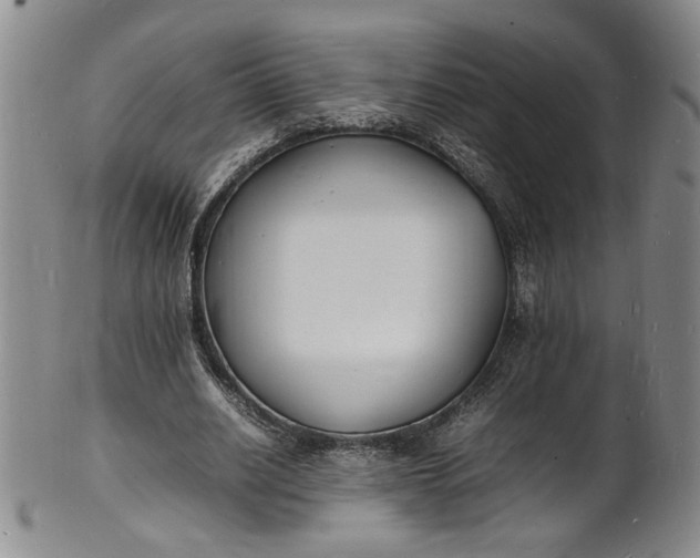 X0000100980630200807081244