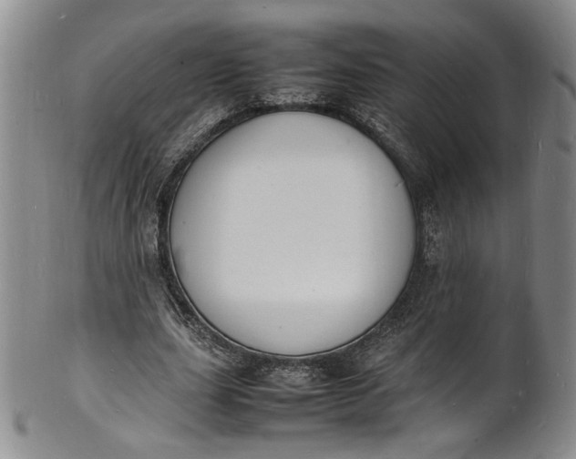 X0000100980631200807081244