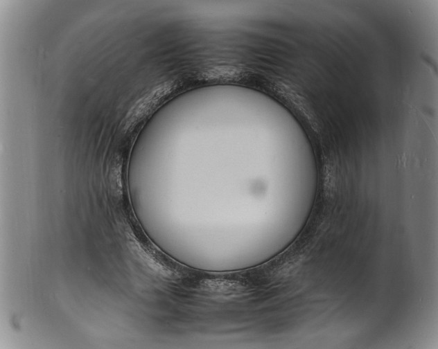 X0000100980633200807081244