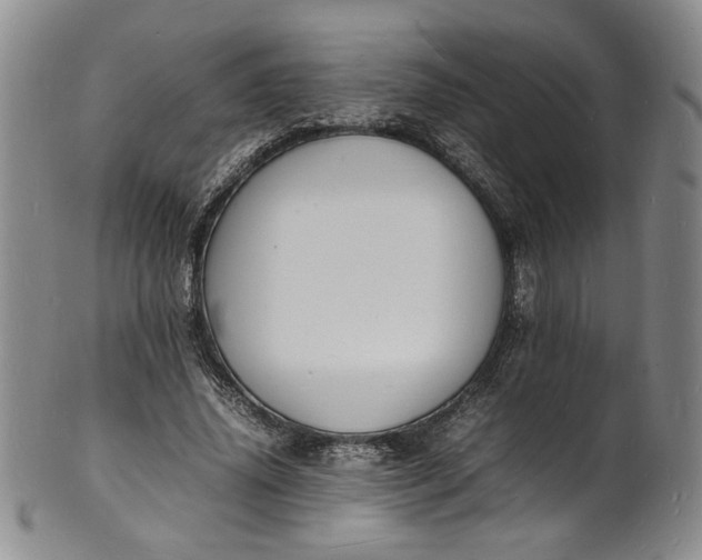 X0000100980636200807081244