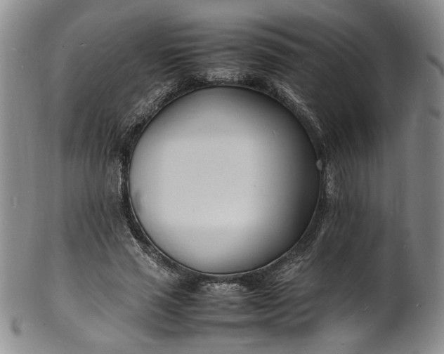 X0000100980637200807081244