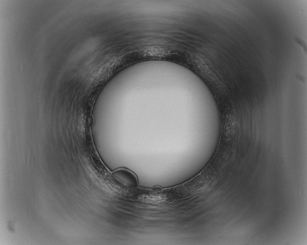 X0000100980639200807081244