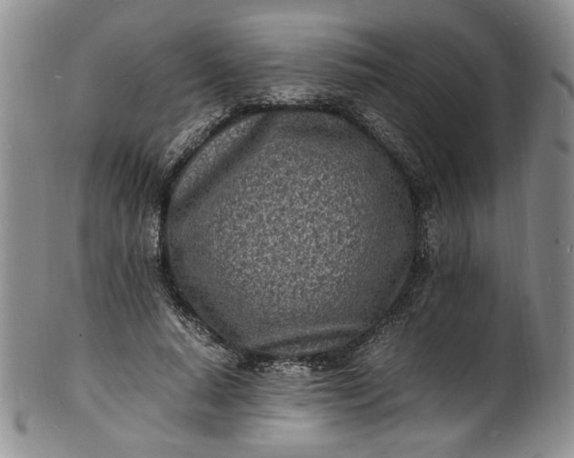 X0000100980640200807081244