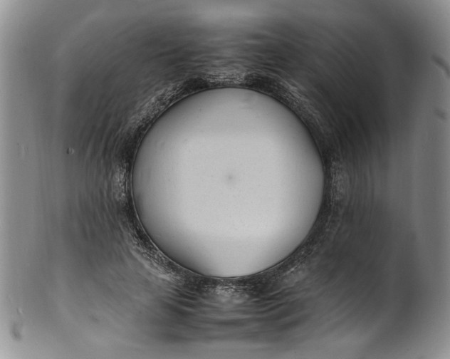 X0000100980641200807081244