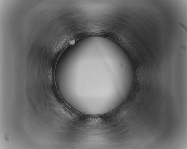 X0000100980642200807081244