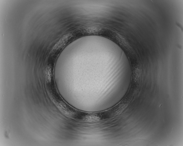 X0000100980644200807081244