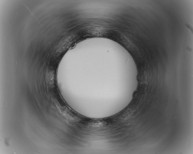 X0000100980646200807081245