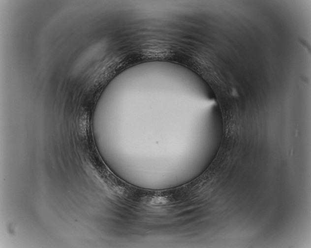 X0000100980647200807081245