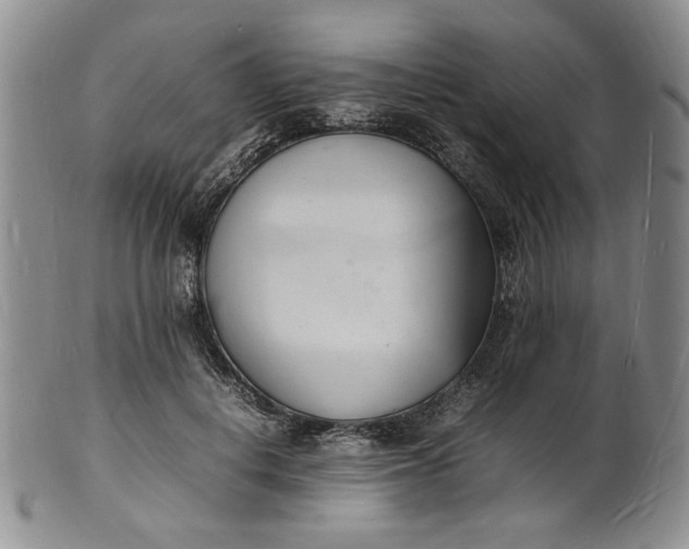 X0000100980648200807081245