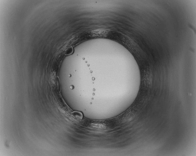 X0000100980649200807081245