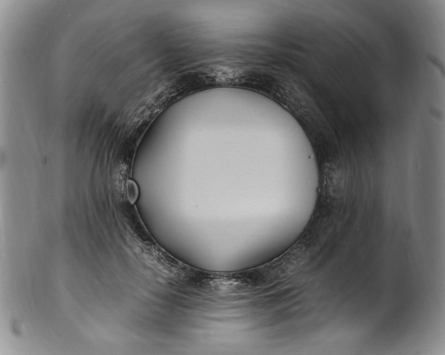 X0000100980650200807081245