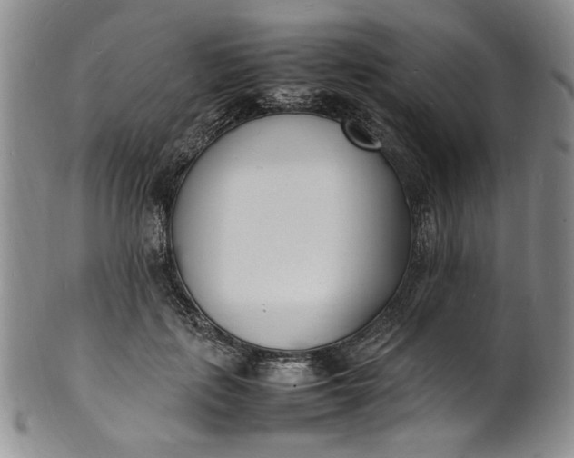 X0000100980651200807081245