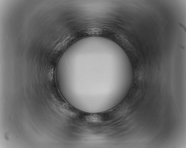 X0000100980652200807081245