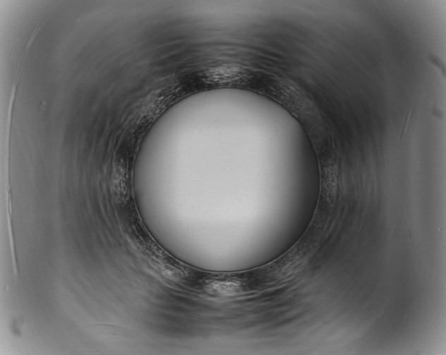 X0000100980653200807081245