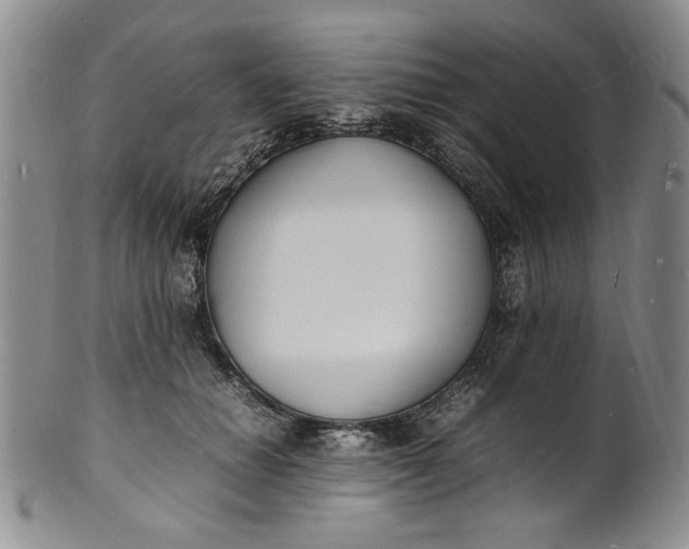 X0000100980654200807081245