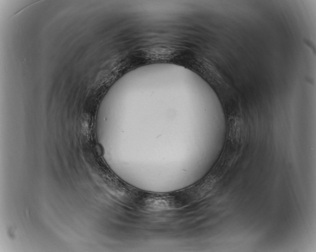 X0000100980655200807081245