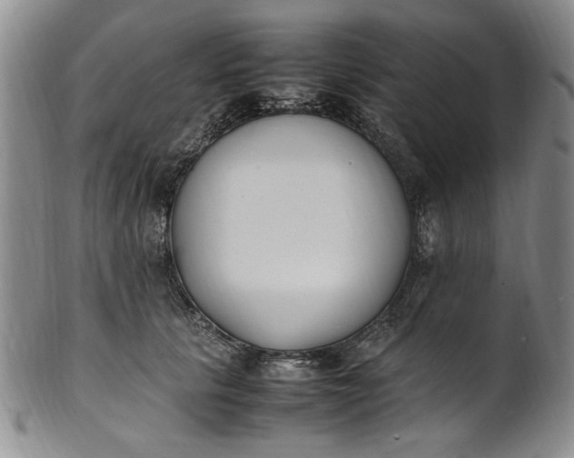 X0000100980657200807081245