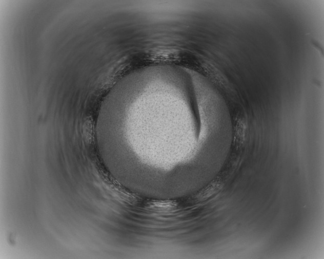 X0000100980659200807081245