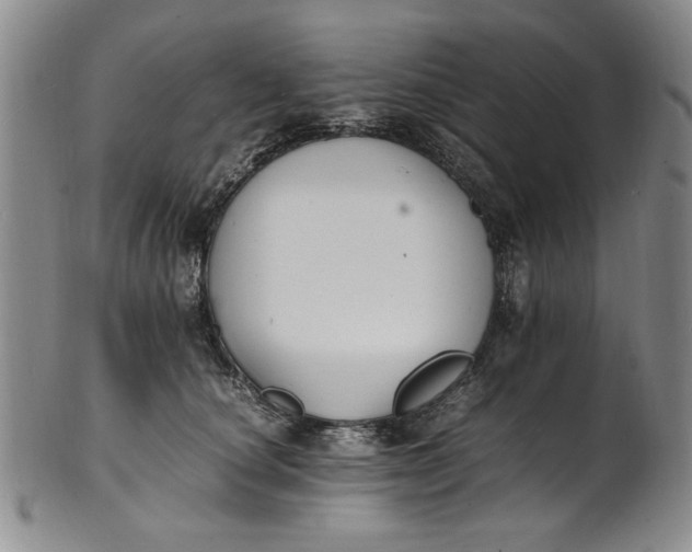 X0000100980660200807081245