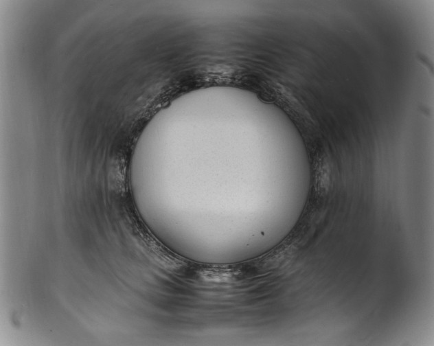 X0000100980661200807081245