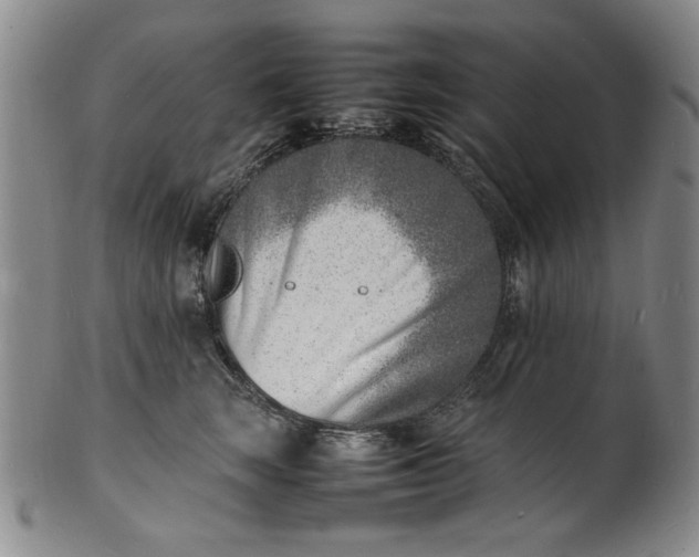 X0000100980663200807081245