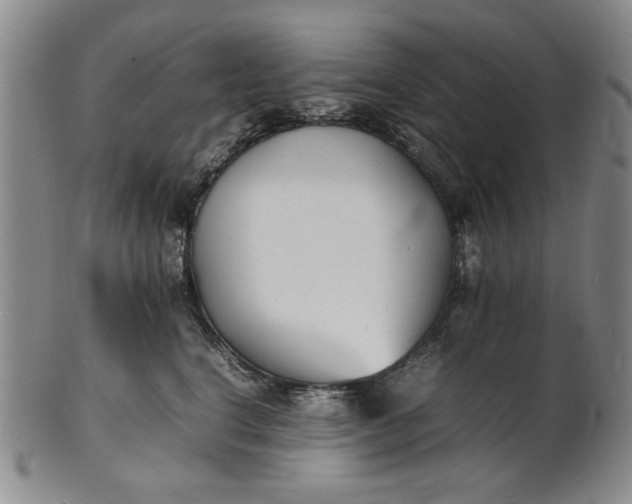 X0000100980664200807081245