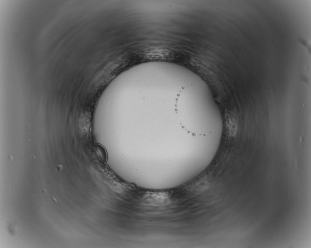 X0000100980665200807081245