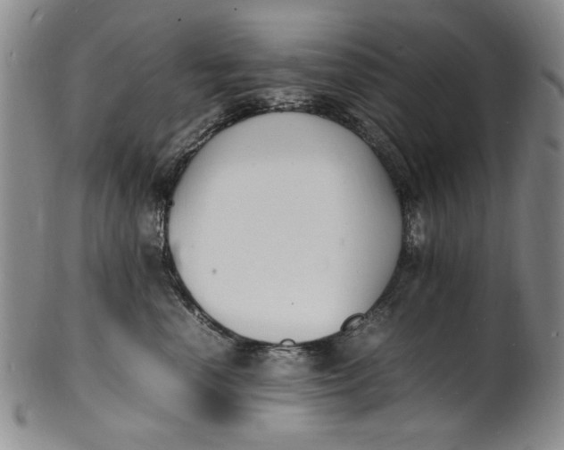 X0000100980666200807081245