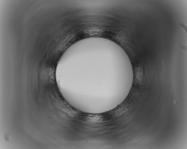 X0000100980667200807081245