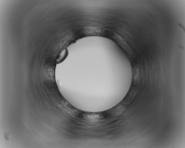 X0000100980669200807081245