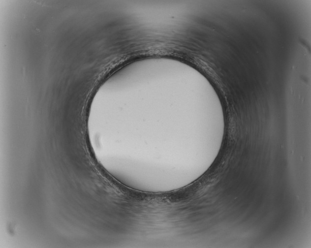 X0000100980673200807081244