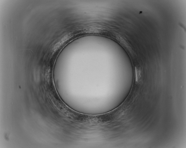 X0000100980675200807081244