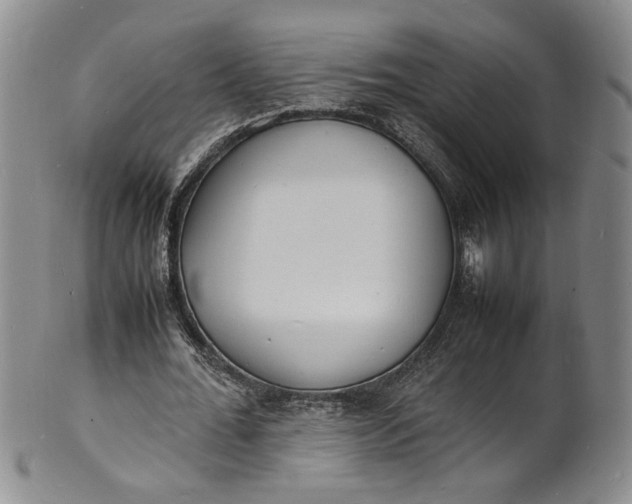 X0000100980676200807081244