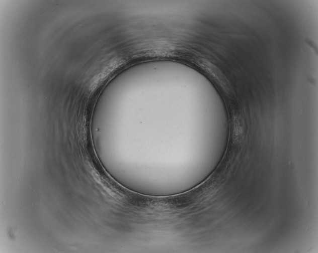 X0000100980677200807081244