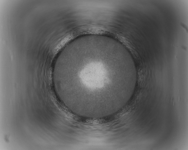 X0000100980679200807081244