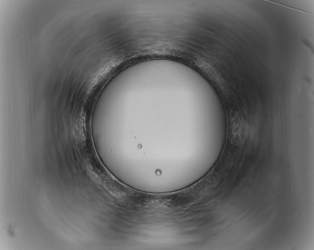 X0000100980680200807081244