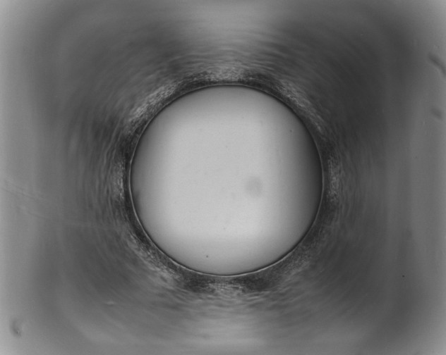 X0000100980681200807081244