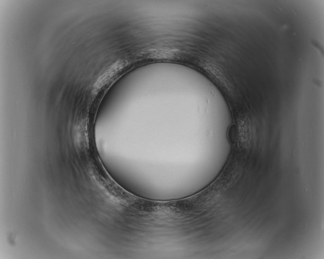 X0000100980682200807081244