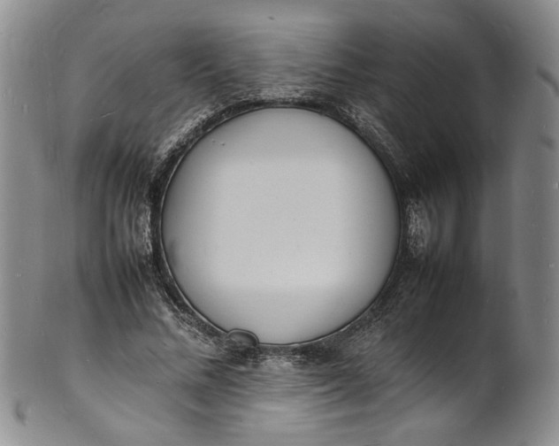 X0000100980684200807081244