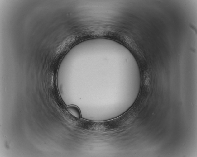 X0000100980685200807081244