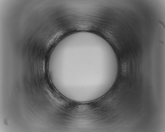 X0000100980686200807081244