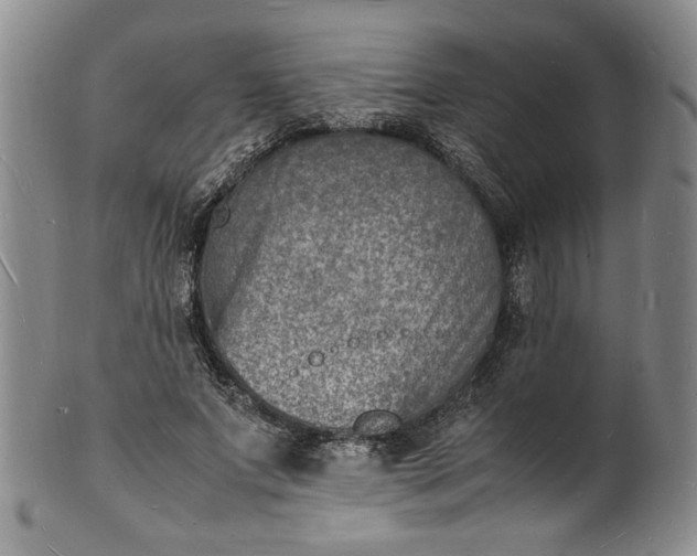 X0000100980687200807081244